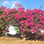 Garden City Costa Adeje 1 Bedroom Apartment Large Balcony Close To Beach Apartman